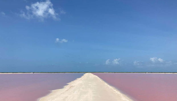 Paysages de Las Coloradas