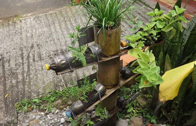 Visite de la ferme de Mama Lulu - Photo 8