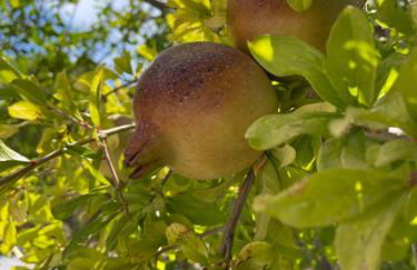 Casa Rocas Private Pool with swimjet! - Foto 56
