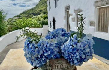 Fajã VinhaMar-Vinyard Cottage by the Sea - Foto 6