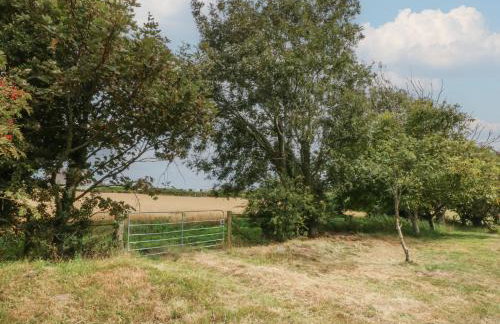 Tir Mawr - Foto 34