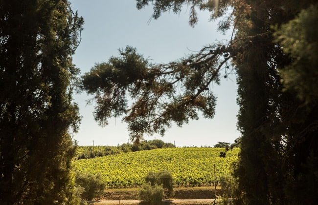 Villa Greta - Photo 36