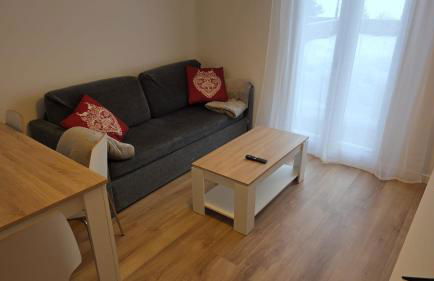 Apartamentos Leyre Candanchú - Photo 15