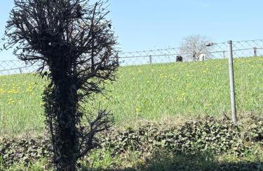 Chiemsee-Perle, stylisches Luxus-Appartement - Foto 7