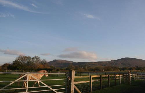 Dairy Cottage Nr Stokesley - Photo 11