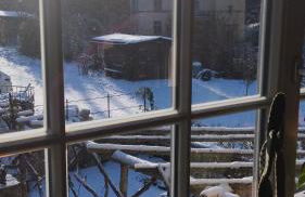 Rosengarten - Foto 16