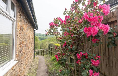 High Peak 5-Star Haven Gardens, Parking & WiFi - Foto 48