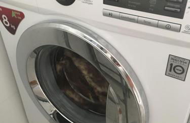 Sea view apartments Dunas de La Mata Torrevieja - Foto 17