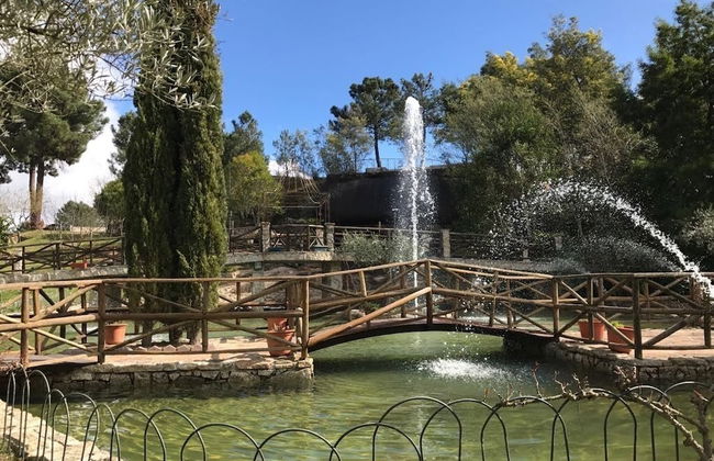 Quinta Dona Adelaide - Foto 21