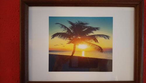 ViSIT CASTELO BRANCO - Foto 4