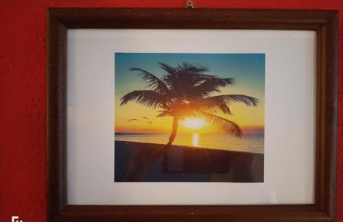 ViSIT CASTELO BRANCO - Foto 4