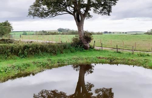 Lily Rose Cottage - Foto 13