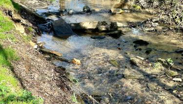 Clover Creek Cabin - Foto 4