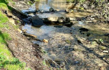 Clover Creek Cabin - Foto 4