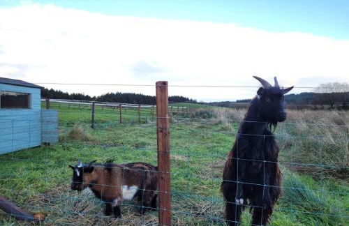 The Cabin at Forestview Farm - Foto 23