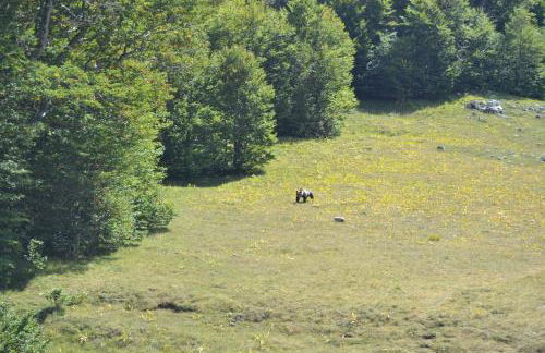 Principe di Napoli - Foto 40