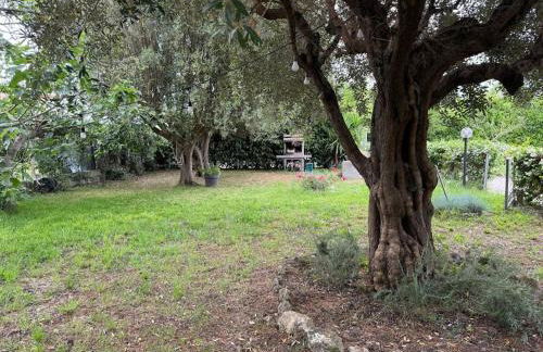 Casa 22 Paestum - Foto 28