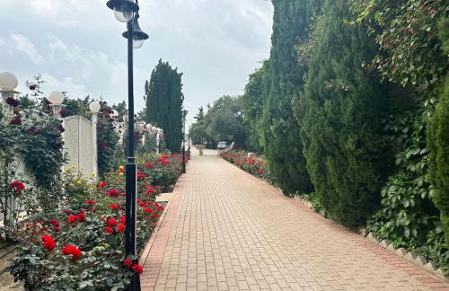 Amnisiades Apartments - Foto 7