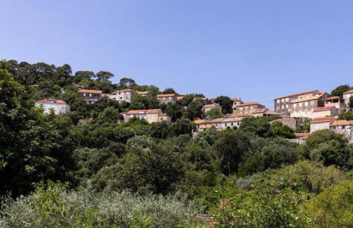 Apartman Desa Babino zlato - Photo 17