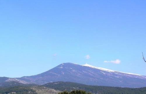 La Bastidelle - Foto 11