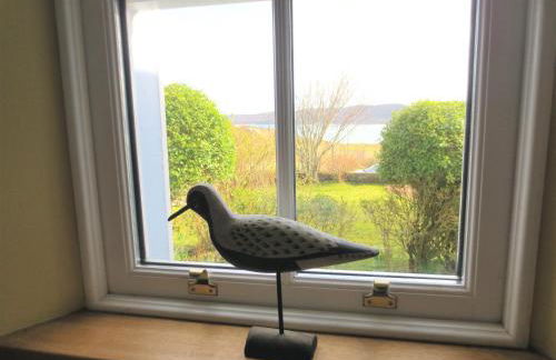 Northern Lights - Foto 11