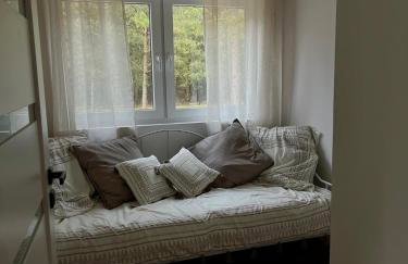 Cisza lasu - Foto 15