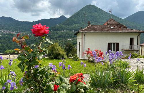 Villa Oleandra with Garden&Swimming pool - Foto 12