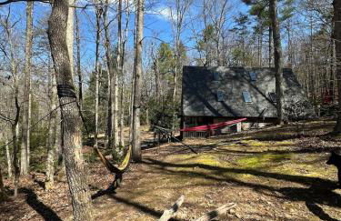 Bearly Behavin - Foto 35