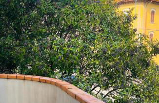 Spacious 4BR Suite & Prime Location and Comfort - Foto 23