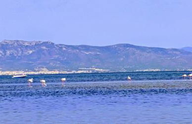 Ca Na Vinyet - Foto 34