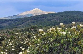 Refugios Del Valle Negro - Foto 57