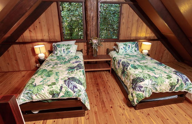 The Canopy Rainforest Treehouses and Wildlife Sanctuary - Foto 3