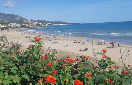 Playa Romana - Foto 30