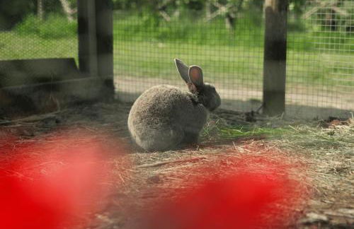 Eco-Domaine La Fontaine - RESIDENCE-SPA - 300 m Plage de la Fontaine aux Bretons - Foto 74