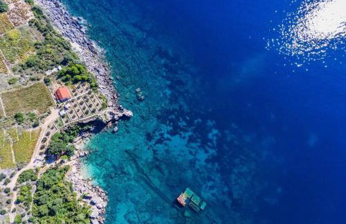 Seaside house for families with children Postup, Peljesac - 20849 - Photo 1