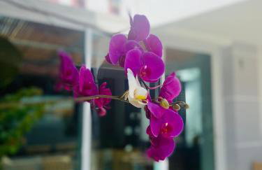 Cabo Frio Familiar Toca de Gente Feliz - Foto 58