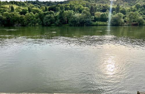 Charmant chalet en bord de Seine - Foto 28