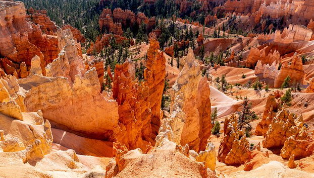 Shuttle zwischen Las Vegas, Bryce Canyon, Zion Nationalpark und St. George - Foto 5
