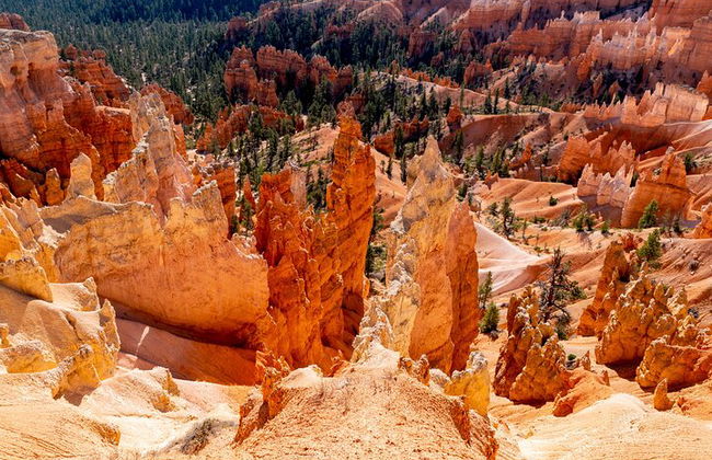 Shuttle zwischen Las Vegas, Bryce Canyon, Zion Nationalpark und St. George - Foto 5