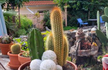 Casafavorita - Meer- und Teideblick für Zwei - Foto 33