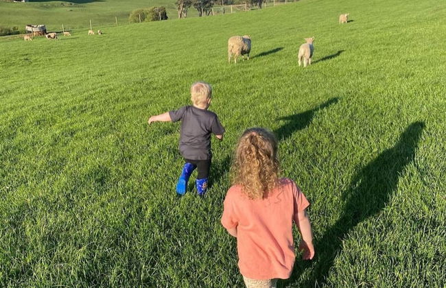 Jilly Park Farm Interactive Experience - Foto 38