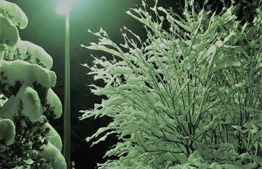 les Cimes d'Or Mont blanc - Photo 25