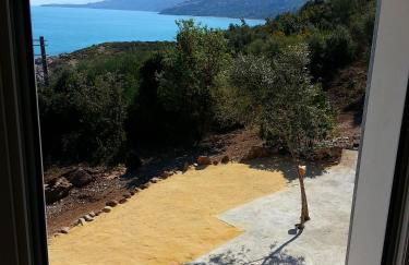 Andrea's Home - Foto 19