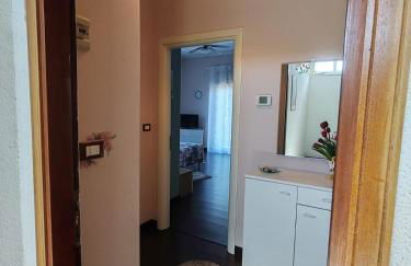 Il tulipano - Foto 11