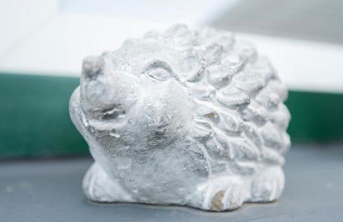 Ferienwohnung Auszeit mit Waldgeflüster 35231 - Foto 9