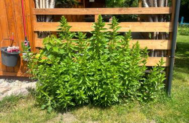 Zacisze u Ani - Foto 10