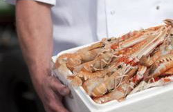 The Penthouse- The Kingsley Collection - Foto 20