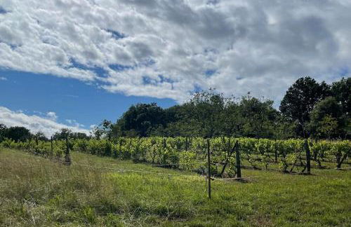 Charming 19th Century Farmhouse with Pool - Foto 15