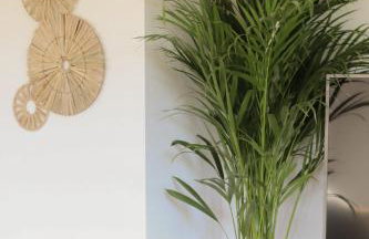 Lawendowy Raj - Foto 9