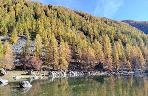 Gite T3 Le Balarino - Mercantour 1 - Foto 29